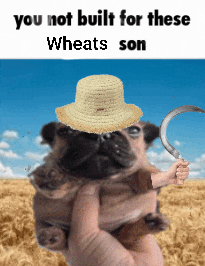 a person holding a pug wearing a straw hat and a scythe