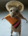 a mouse wearing a sombrero and holding a towel .