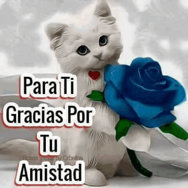 a white cat is holding a blue rose in its paws and says `` para ti gracias por tu amistad '' .