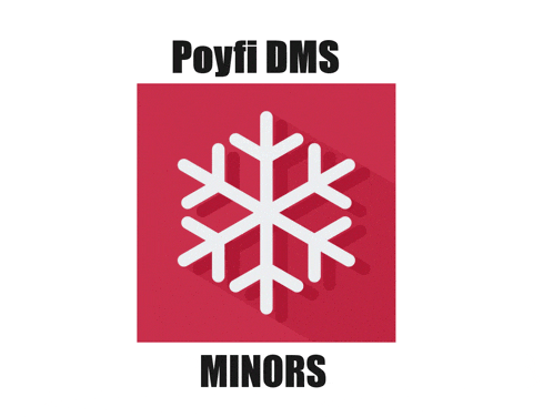 a red square with a snowflake on it and the words payfi dms minors below it