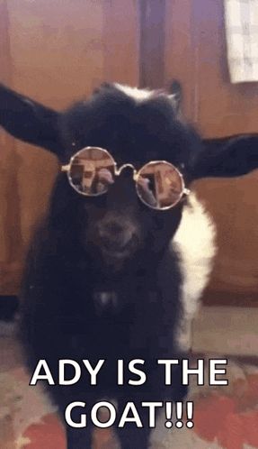 a black and white goat wearing sunglasses and the words `` ady is the goat ! ''