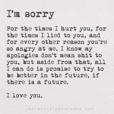 i 'm sorry for the times i hurt you