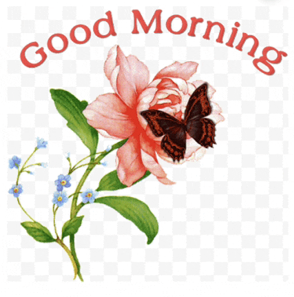 a butterfly sits on a pink flower with the words good morning written above it