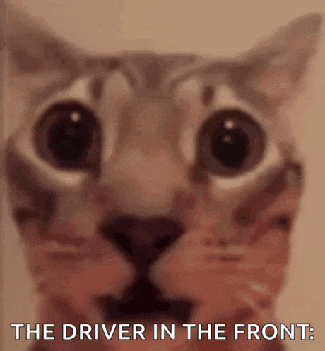 a close up of a cat with the words the driver in the front