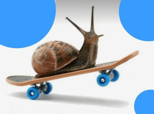 a snail is sitting on a skateboard with blue wheels