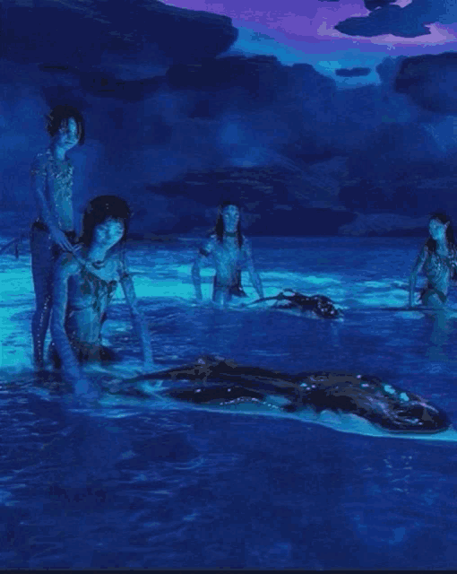 a group of people are standing in the water with a dolphin in the background