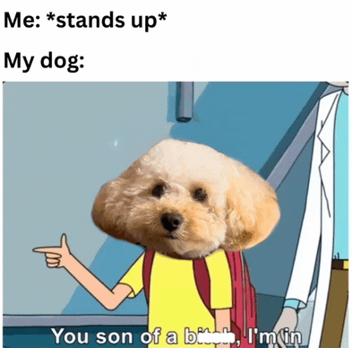 a cartoon of a poodle pointing at a person with the caption " me stands up "