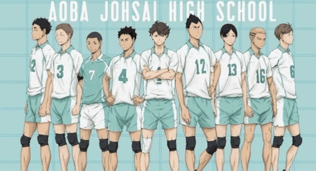 a group of aoba johsai high school volleyball players stand in a row