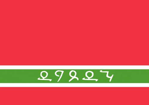 a red background with a green and white stripe and the number 2999