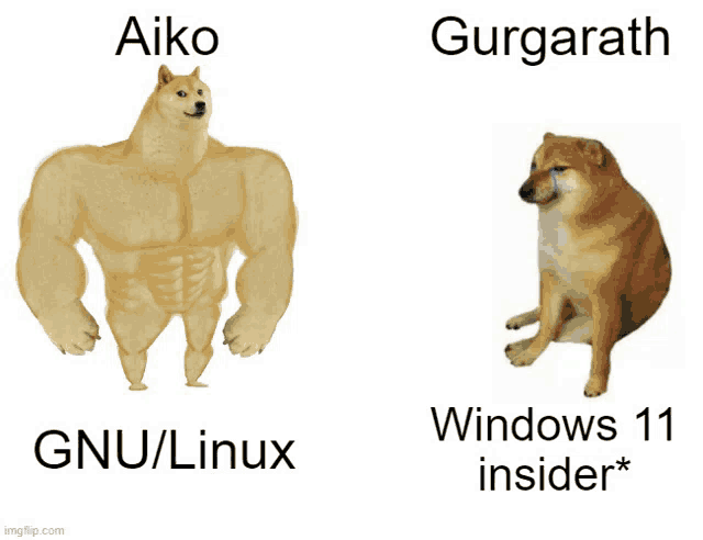 a picture of a dog with the words aiko gurgarath gnu / linux and windows 11 insider *