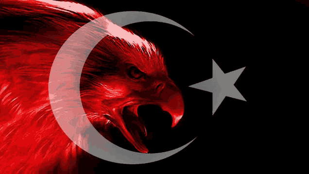 a red eagle with a white crescent moon and a white star on a black background