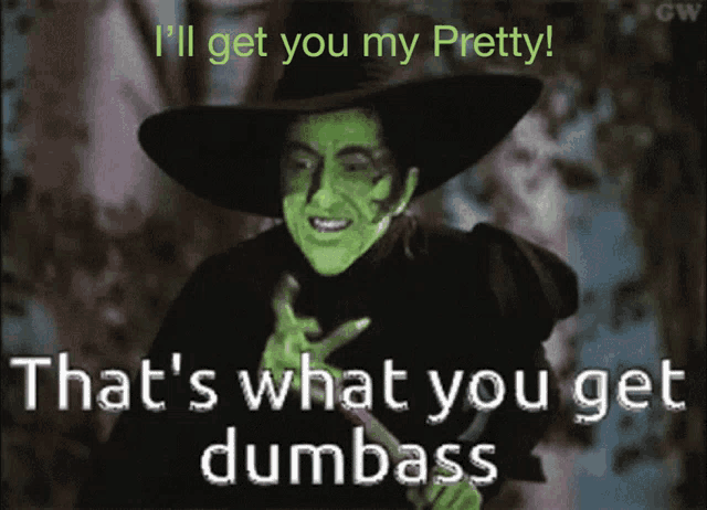 a picture of a witch that says ' i 'll get you my pretty that 's what you get dumbass '