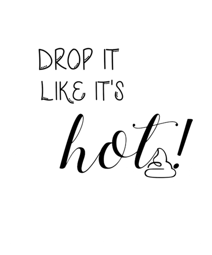 drop it like it 's hot written in black on a white background