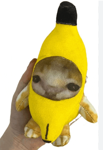 a person is holding a stuffed animal that is shaped like a banana