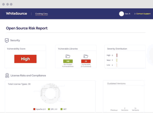 a screenshot of an open source risk report for cooking corp