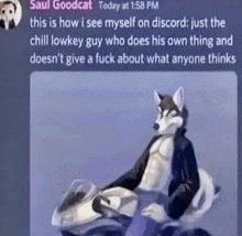 a furry dog is riding a motorcycle on a discord server .