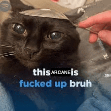 a black cat with a spoon on its head and the words `` this arcane is fucked up bruh '' written on it .