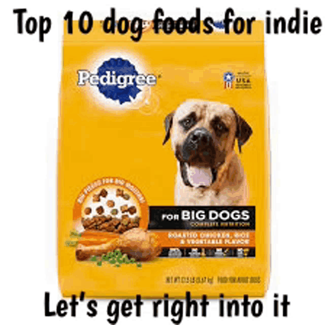 a bag of pedigree dog food for big dogs with roasted chicken , meat and vegetables