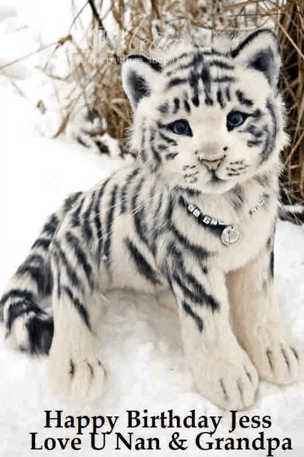 a stuffed white tiger is sitting in the snow with the words happy birthday jess love u nan & grandpa below it