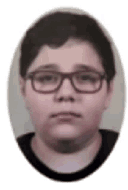 a young boy wearing glasses and a black shirt is in an oval .