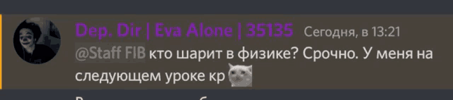 a screenshot of a chat with eva alone and a cat