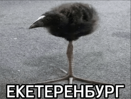 a small black bird with a white beak is standing on one leg with a caption in foreign language