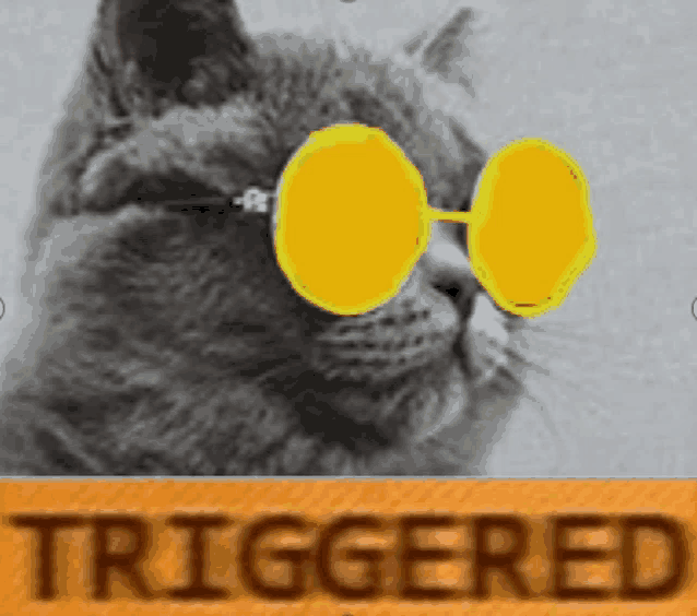 a cat wearing yellow sunglasses with the word triggered in the background