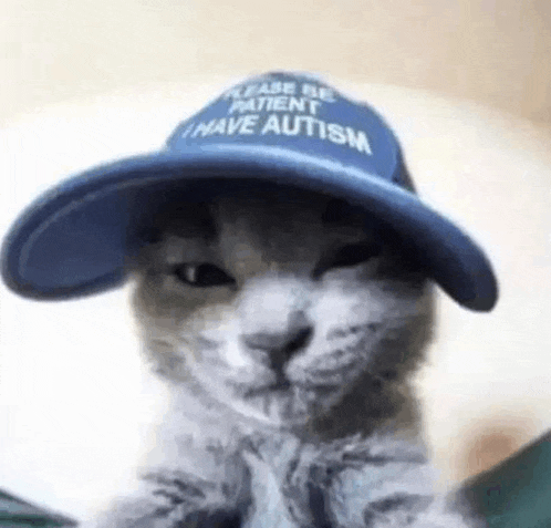 a cat wearing a baseball cap that says `` please be patient i have autism '' .