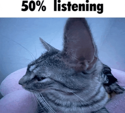 a cat laying on a pink pillow with the words 50 % listening below it