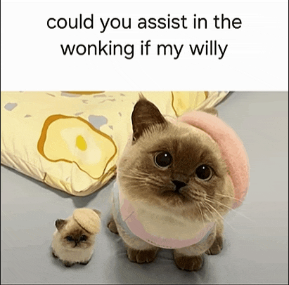 a cat wearing a pink hat is next to a smaller cat