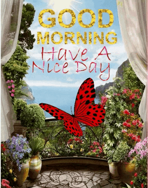 a picture of a butterfly with the words good morning have a nice day on it