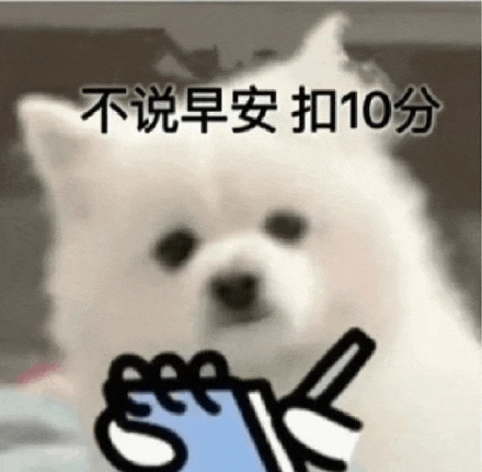 a white dog is holding a blue object in its paws and giving a thumbs up .