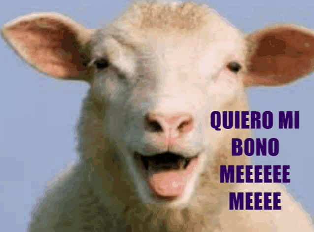 a picture of a sheep with the words quiero mi bono meeeee meeeee written below it