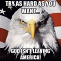 God Bless America Love Meme