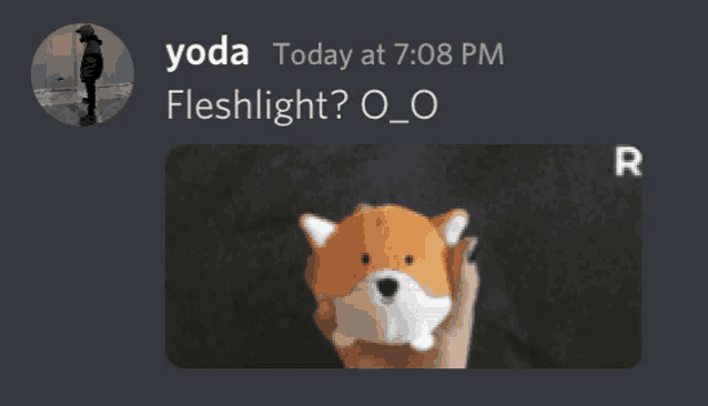 a person holding a stuffed animal with the word fleshlight written below it