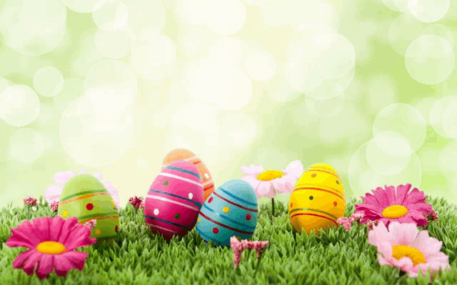 a bunch of colorful easter eggs sitting in the grass