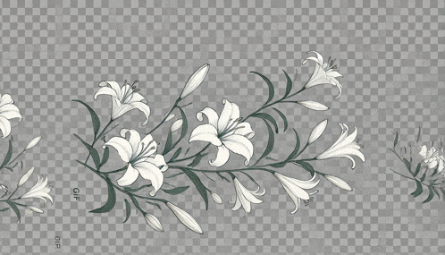 a bunch of white flowers are on a checkered background