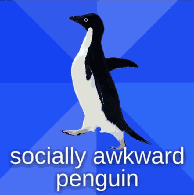 a penguin on a blue background with the words socially awkward penguin