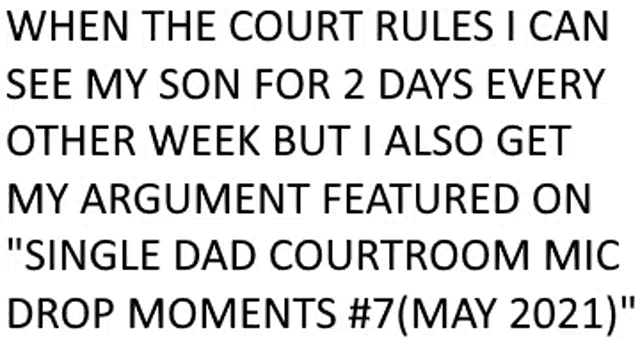 when the court rules i can see my son for 2 days every other week