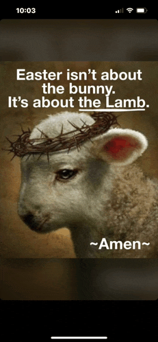 a picture of a sheep with a crown of thorns on its head