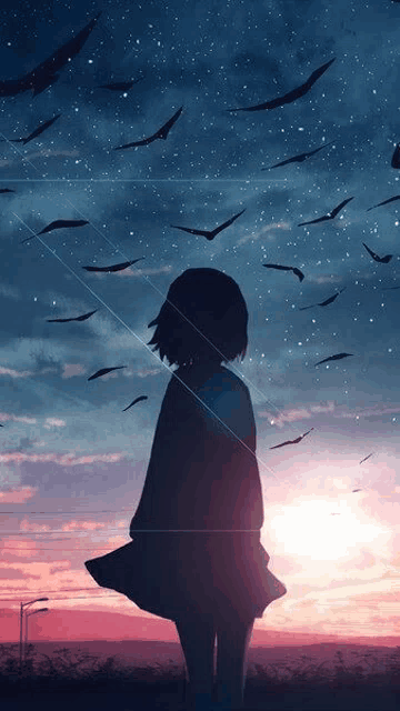 a silhouette of a girl standing in front of a sunset with birds flying in the sky