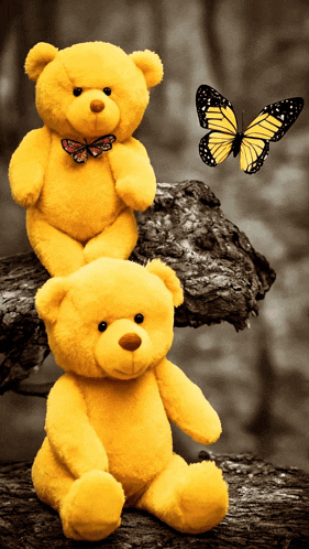 two yellow teddy bears sitting next to each other with a butterfly on their heads