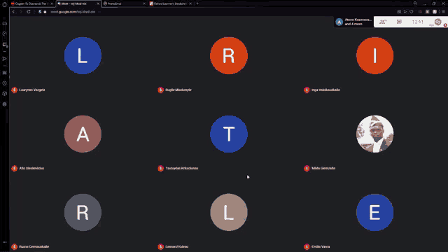 a group of people are having a video call with the letters l r i and e