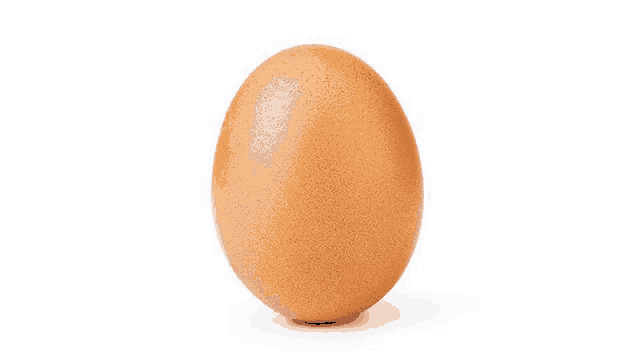 a brown egg on a white background that looks like a sphere