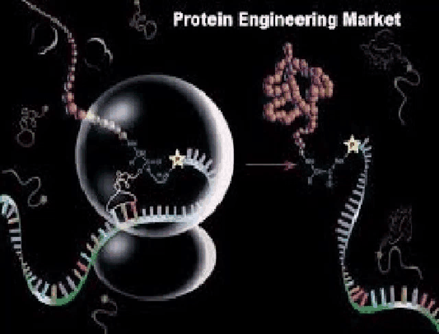 an illustration of a protein engineering market with a bubble of protein surrounded by dna and rna .