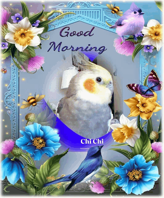 a picture of a bird and flowers with the words good morning chi chi