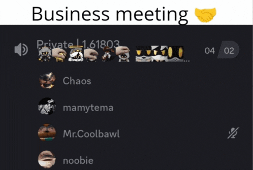 a screenshot of a business meeting with chaos and mr.coolbawl