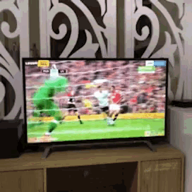 a soccer game is being shown on a flat screen television