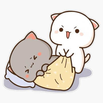 two cats are playing with a blanket and one is sleeping