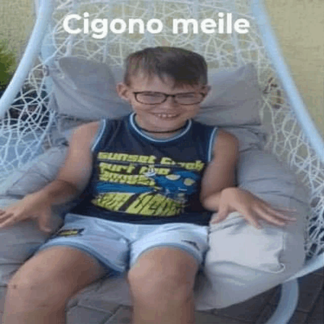 a young boy wearing glasses and a tank top is sitting in a hanging chair .